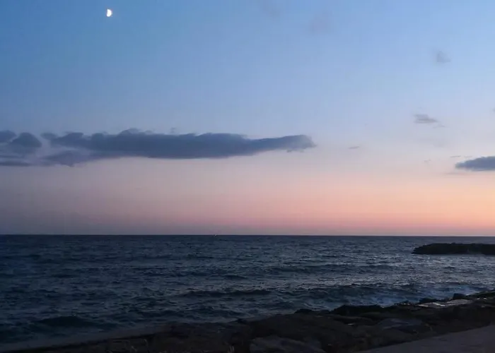 Petit Avec Classe Apartamento