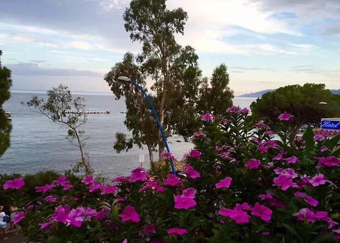 Apartamento Petit Avec Classe