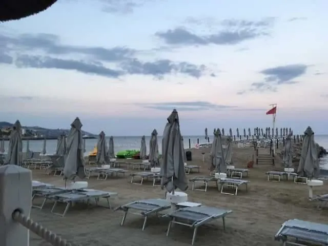 Petit Avec Classe Sanremo